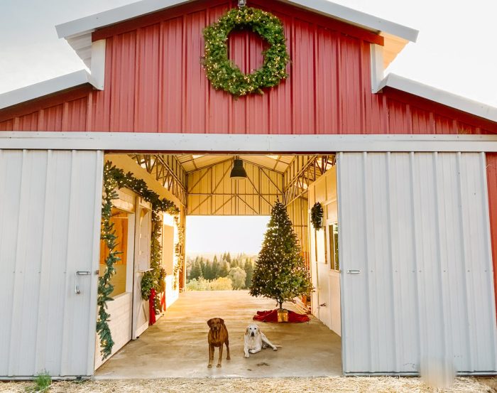 Christmas cow yard decoration